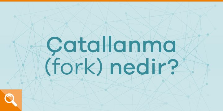 Catallanma Fork Nedir Paribulog