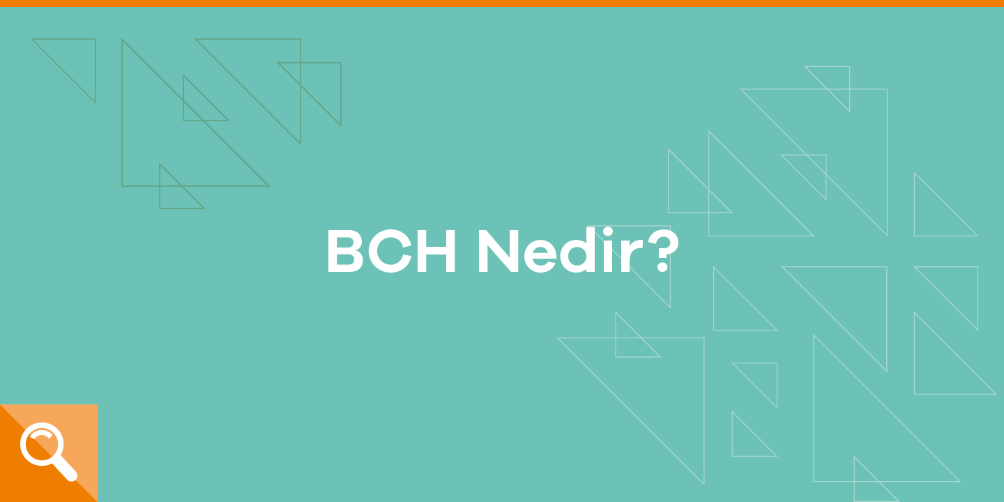 Bch Bitcoin Cash Nedir Paribulog