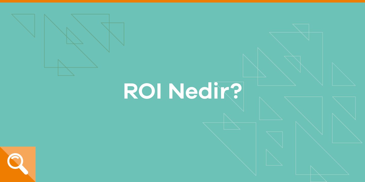 ROI (Return of Investment) nedir? ParibuLog