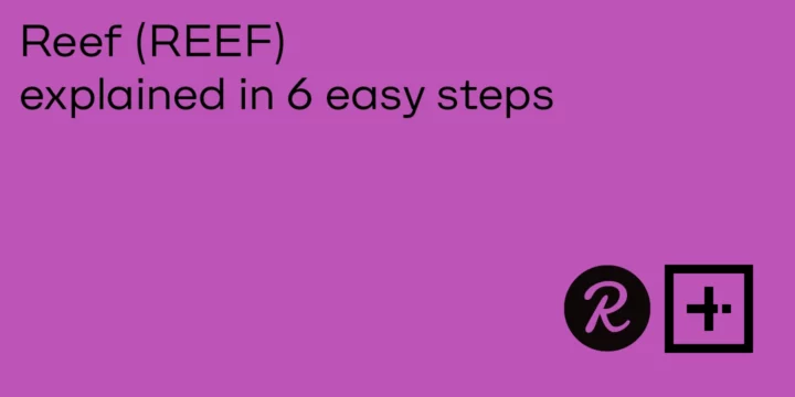 Reef (REEF) explained in 6 points 5 Reef (REEF) explained in 6 points - ParibuLog