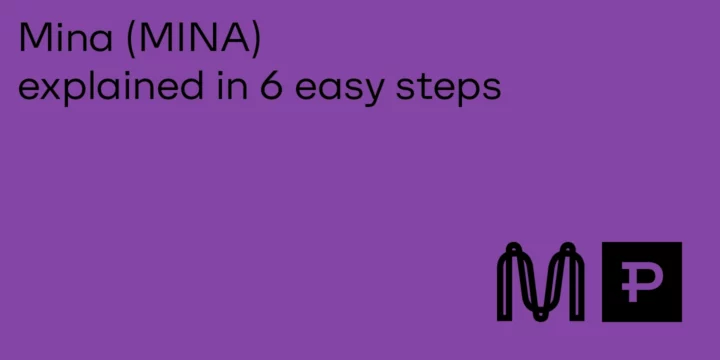Mina (MINA) Explained in 6 Easy Steps 4 Mina (MINA) Explained in 6 Easy Steps - ParibuLog
