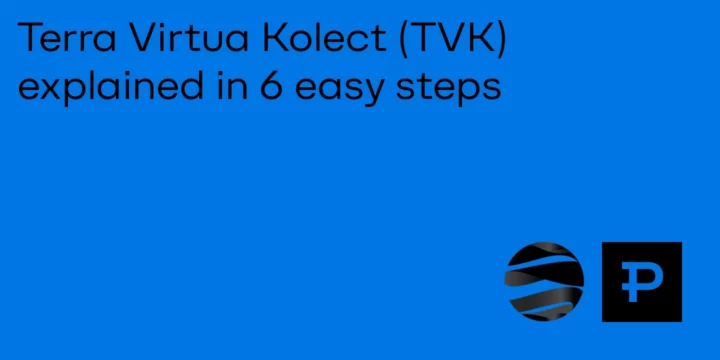 Terra Virtua Kolect (TVK) Explained in 6 Easy Steps - ParibuLog