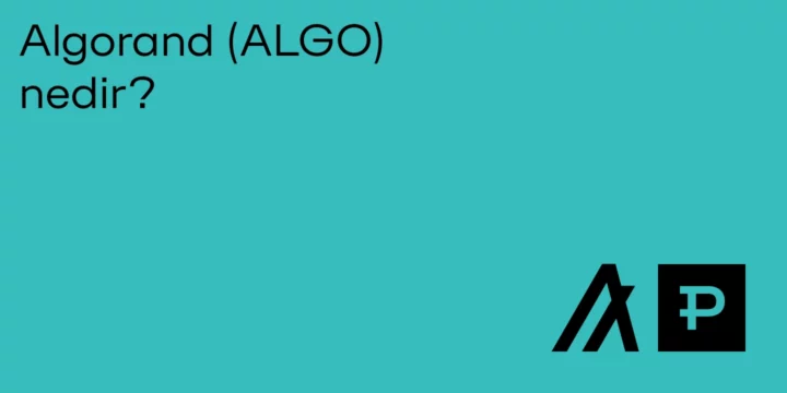Algorand (ALGO) nedir? - ParibuLog