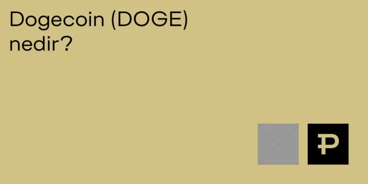 Dogecoin (DOGE) nedir? - ParibuLog
