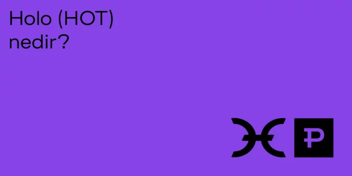 Holo (HOT) nedir? - ParibuLog