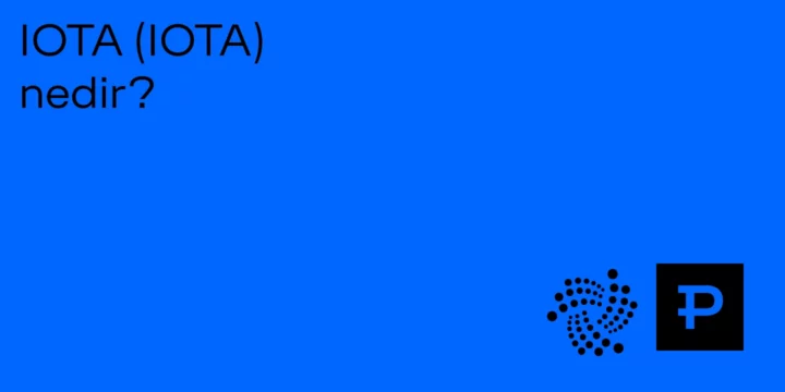 IOTA (MIOTA) nedir? - ParibuLog