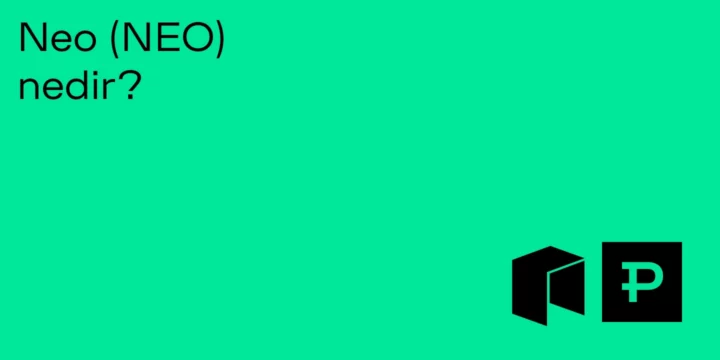 Neo (NEO) nedir? - ParibuLog
