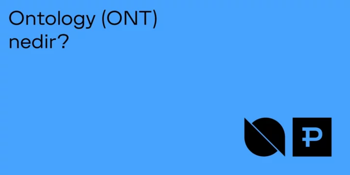 Ontology (ONT) nedir? - ParibuLog