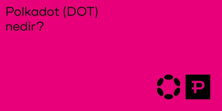 Polkadot (DOT) nedir? 1 Polkadot (DOT) nedir? - ParibuLog