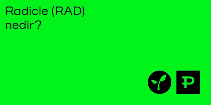 Radicle (RAD) nedir? - ParibuLog