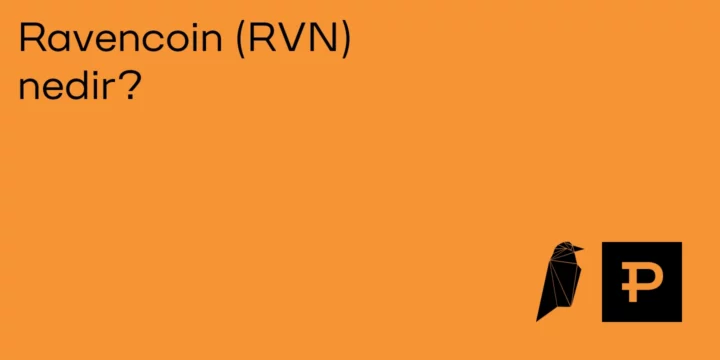 Ravencoin (RVN) nedir? 1 Ravencoin (RVN) nedir? - ParibuLog