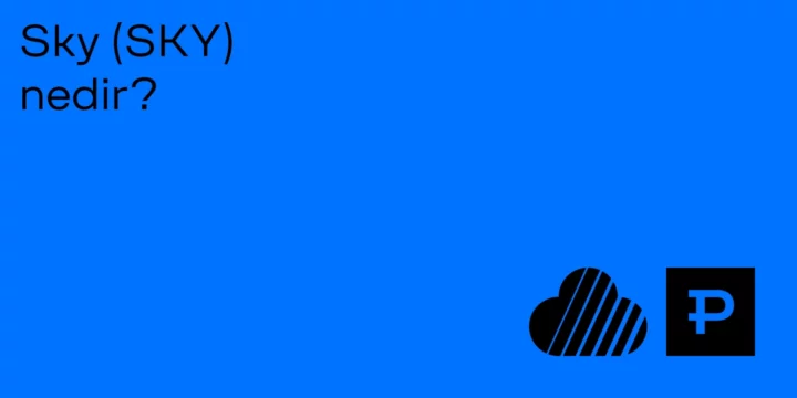 Sky (SKY) nedir? 1 Sky (SKY) nedir? - ParibuLog