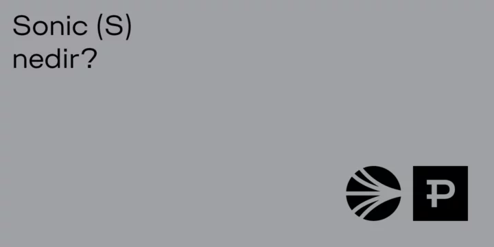 Sonic (S) nedir? 1 Sonic (S) nedir? - ParibuLog