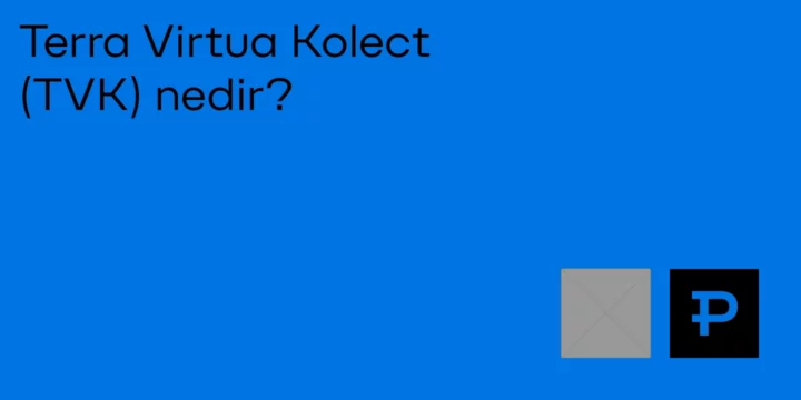 Terra Virtua Kolect (TVK) nedir? - ParibuLog