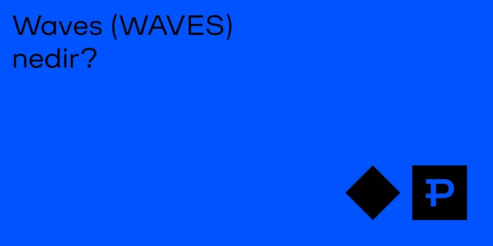 Waves (WAVES) nedir? - ParibuLog