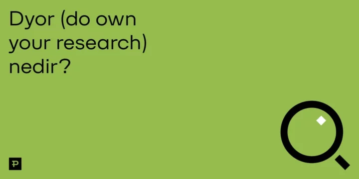 Dyor (do own your research) nedir? - ParibuLog