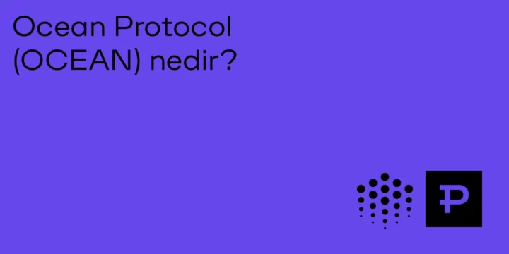 Ocean Protocol (OCEAN) nedir? - ParibuLog