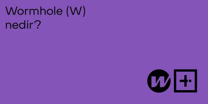 Wormhole (W) nedir? - ParibuLog