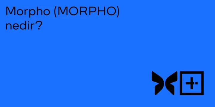 Morpho (MORPHO) nedir? 1 Morpho (MORPHO) nedir? - ParibuLog
