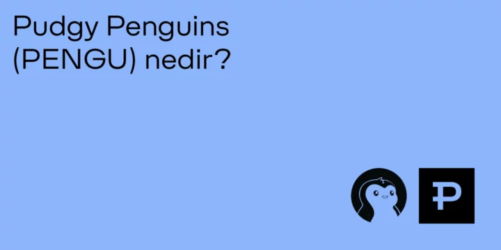 Pudgy Penguins (PENGU) Nedir? - ParibuLog