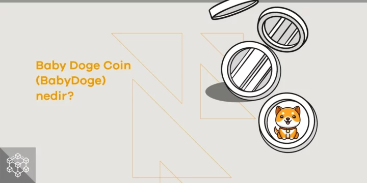 Baby Doge Coin (BabyDoge) nedir? - ParibuLog
