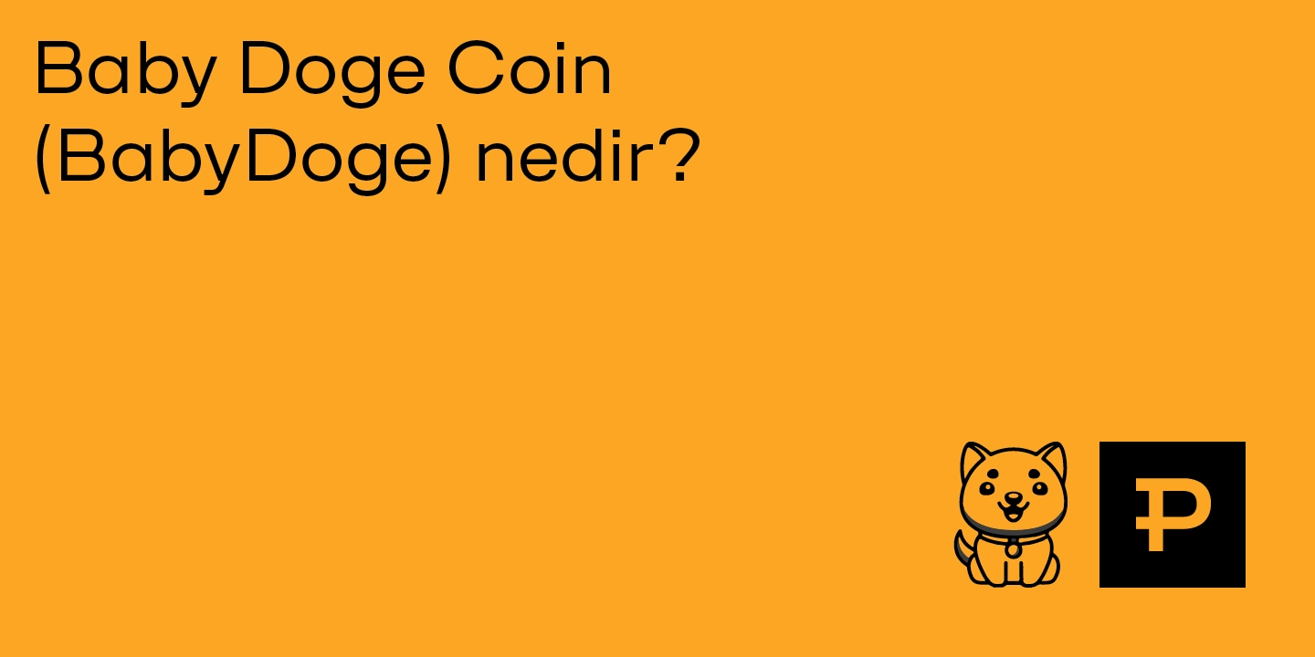 Baby Doge Coin (BabyDoge) nedir? - ParibuLog