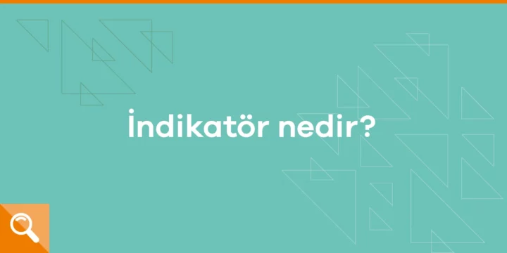 İndikatör nedir? - ParibuLog