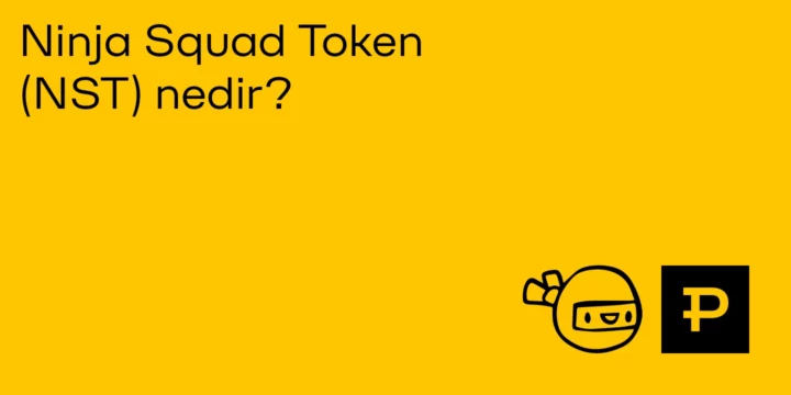 Ninja Squad Token (NST) nedir? - ParibuLog