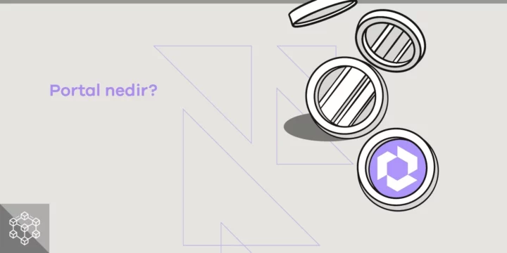Portal (PORTAL) nedir? - ParibuLog