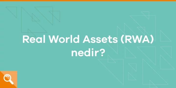 Real World Assets (RWA) nedir? - ParibuLog