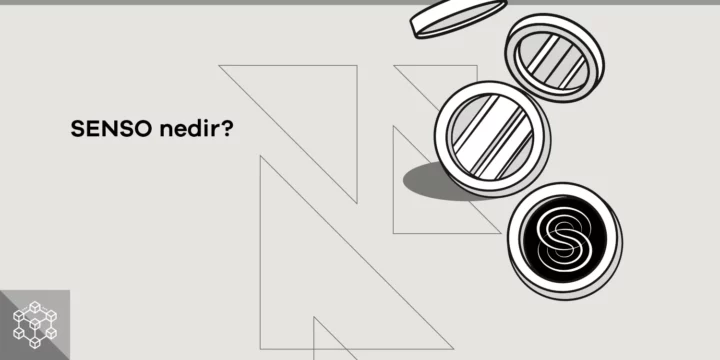 SENSO (SENSO) nedir? - ParibuLog