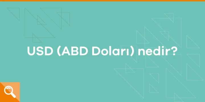 USD (ABD Doları) nedir? - ParibuLog