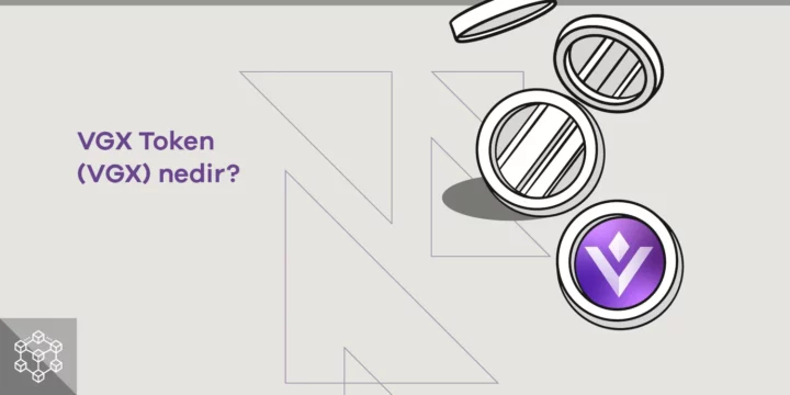 VGX Token (VGX) nedir? 1 VGX Token (VGX) nedir? - ParibuLog