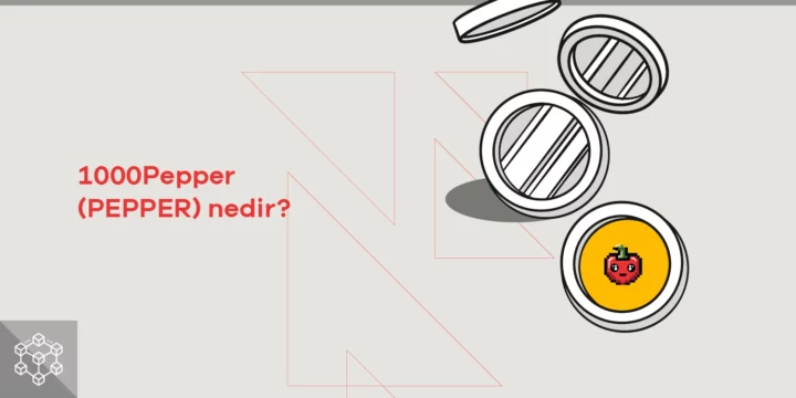 1000Pepper (PEPPER) nedir? - ParibuLog