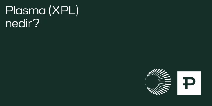 Plasma (XPL) nedir? - ParibuLog