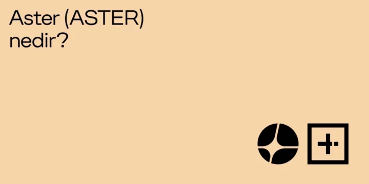 Aster (ASTER) nedir? - ParibuLog