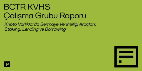 Blockchain Türkiye - Sermaye Verimliliği Araçları Raporu