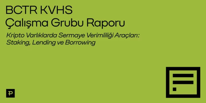 Blockchain Türkiye - Sermaye Verimliliği Araçları Raporu
